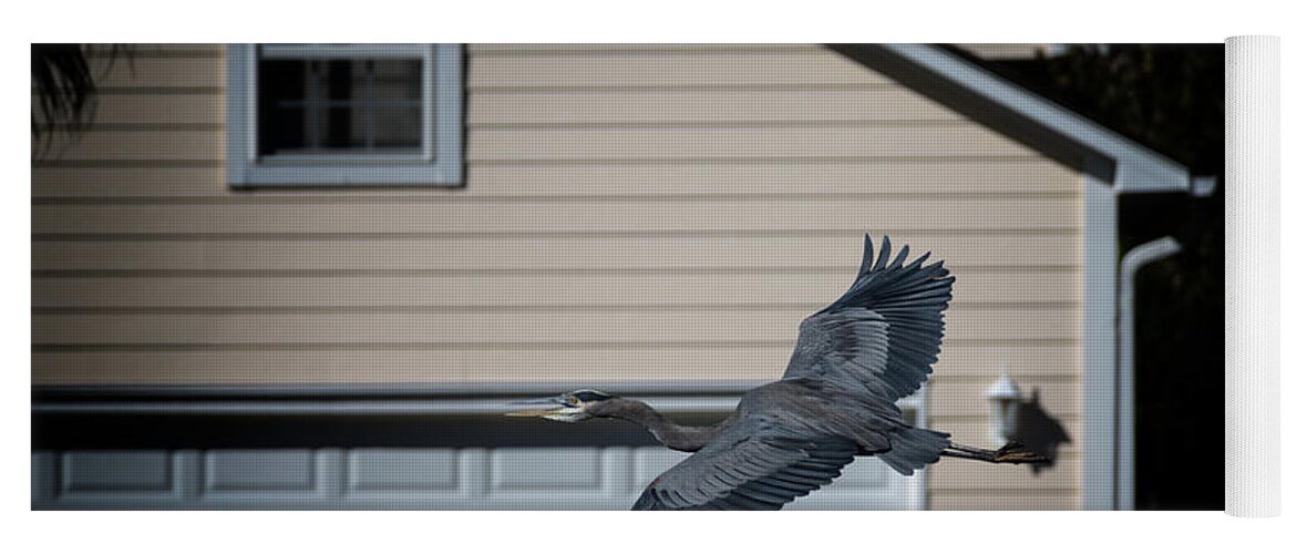 Blue Heron Yoga Mat featuring the photograph Blue Heron Soaring by Dale Powell