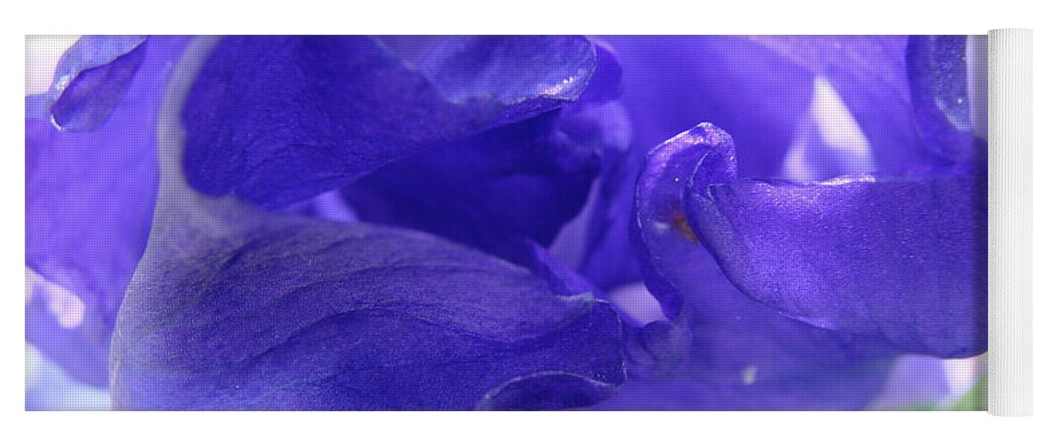 Iris Yoga Mat featuring the photograph Blue Iris by Liz Vernand