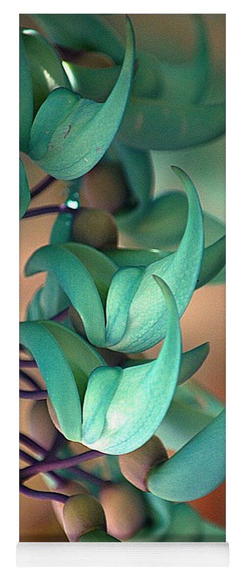 Plant Yoga Mat featuring the photograph Blue Jade at Sadie Seymour Park by Lori Seaman