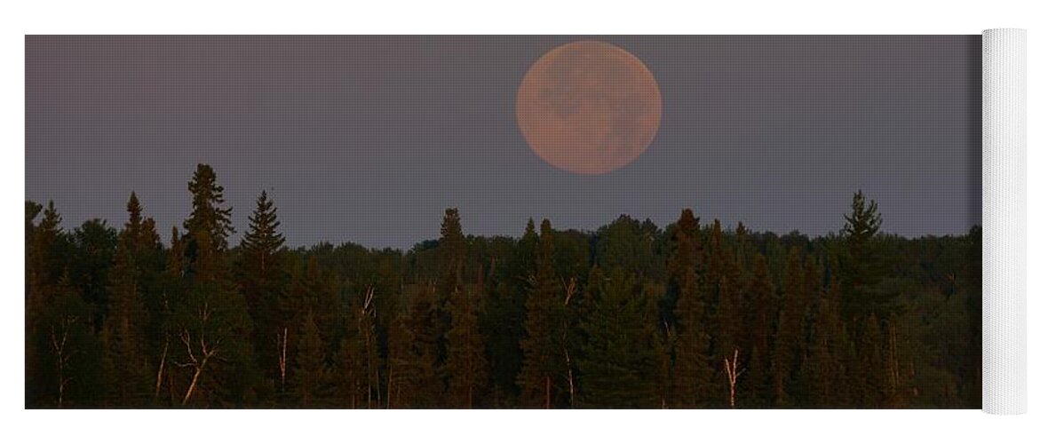Moon Yoga Mat featuring the photograph Blue Moon over Berry Lake by Steven Clipperton