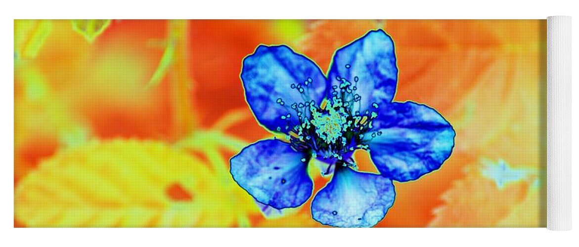 Flower Yoga Mat featuring the photograph Blue on Yellow by Richard Henne