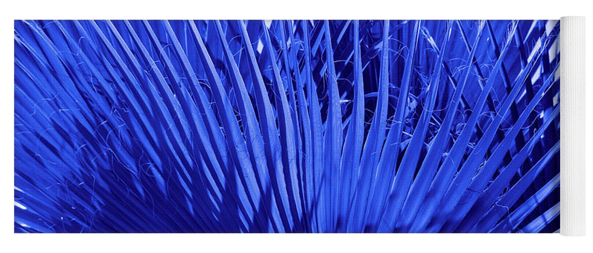 Blue Palm Leaves Yoga Mat featuring the photograph Blue Palms by Leah McPhail