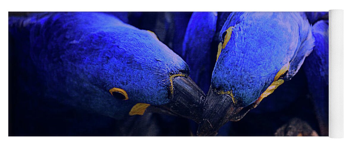 Parrot Yoga Mat featuring the photograph Blue Parrots by Maria Angelica Maira