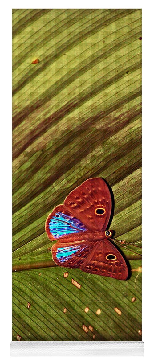 Insects Yoga Mat featuring the photograph Blue Tips by Jennifer Robin