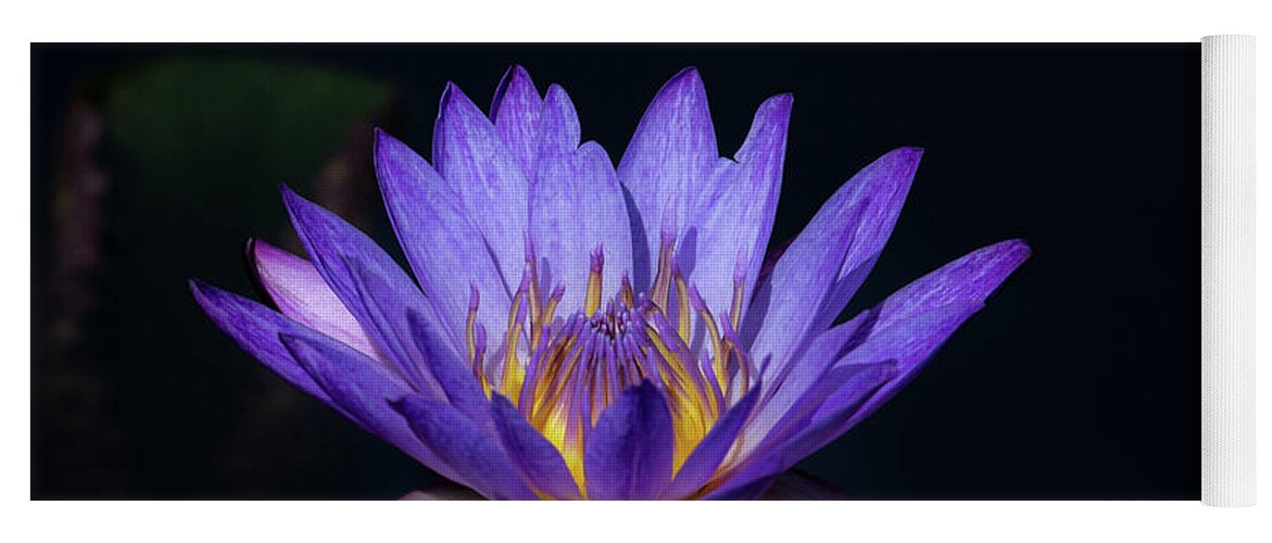 Flower Yoga Mat featuring the photograph Blue Water Lily by Andrea Silies