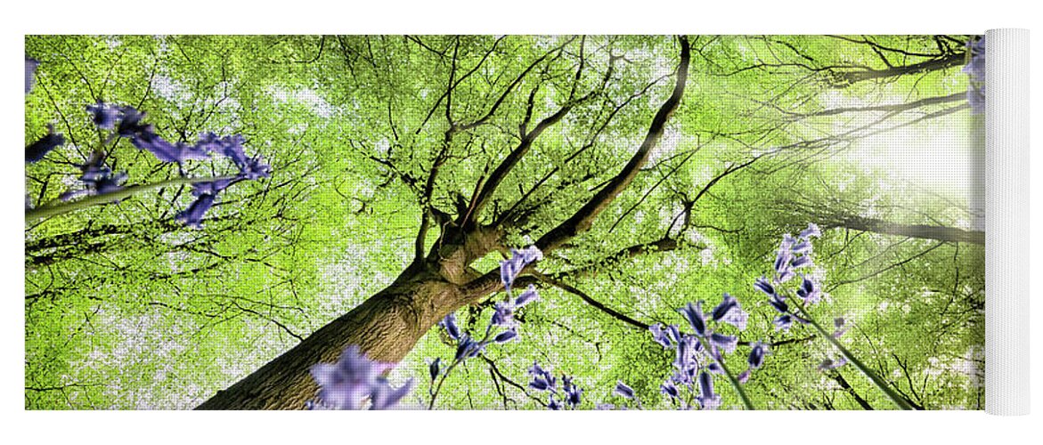 Flowers Yoga Mat featuring the photograph Bluebells from worms eye view by Simon Bratt