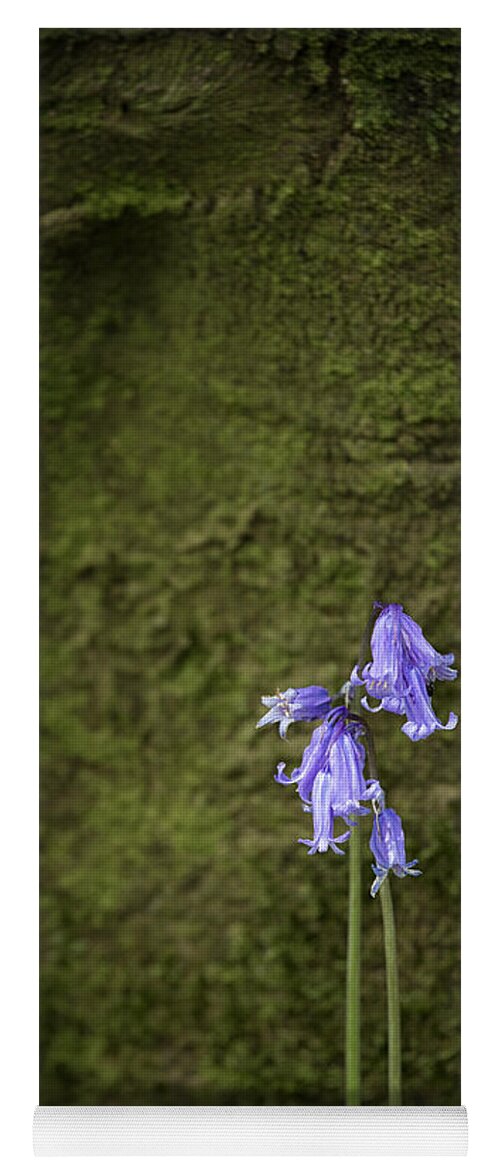 Bluebell Yoga Mat featuring the photograph Bluebells by Nigel R Bell