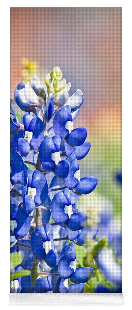 Blue Yoga Mat featuring the photograph Bluebonnet 1 by Olivier Steiner