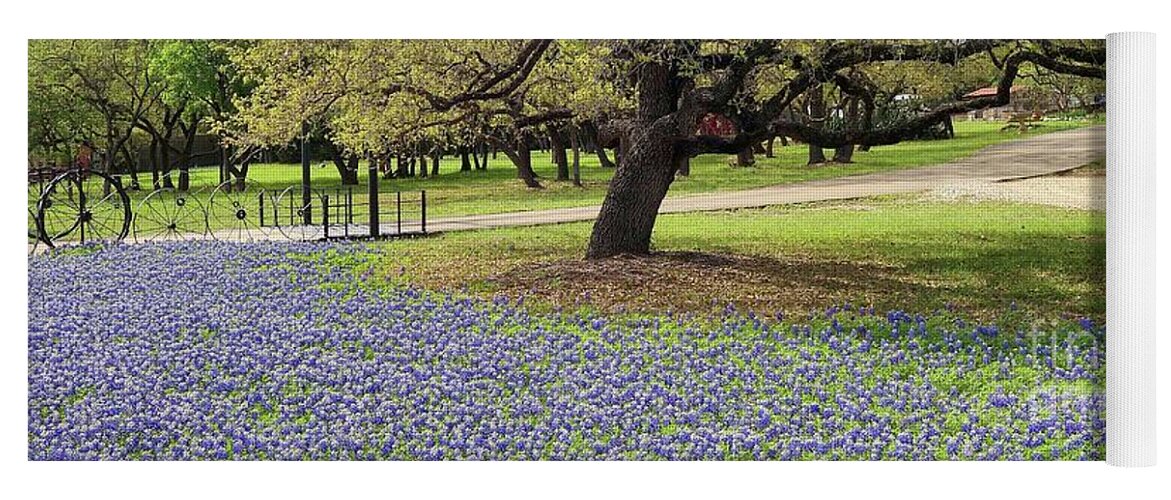 Bluebonnets Yoga Mat featuring the photograph Bluebonnet Time in Texas by Janette Boyd
