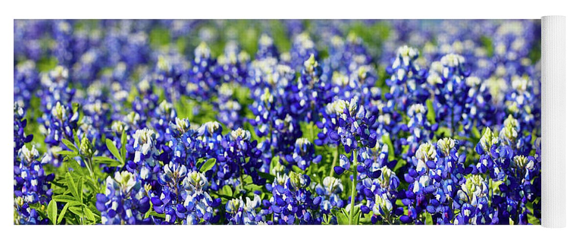 Austin Yoga Mat featuring the photograph Bluebonnets by Raul Rodriguez