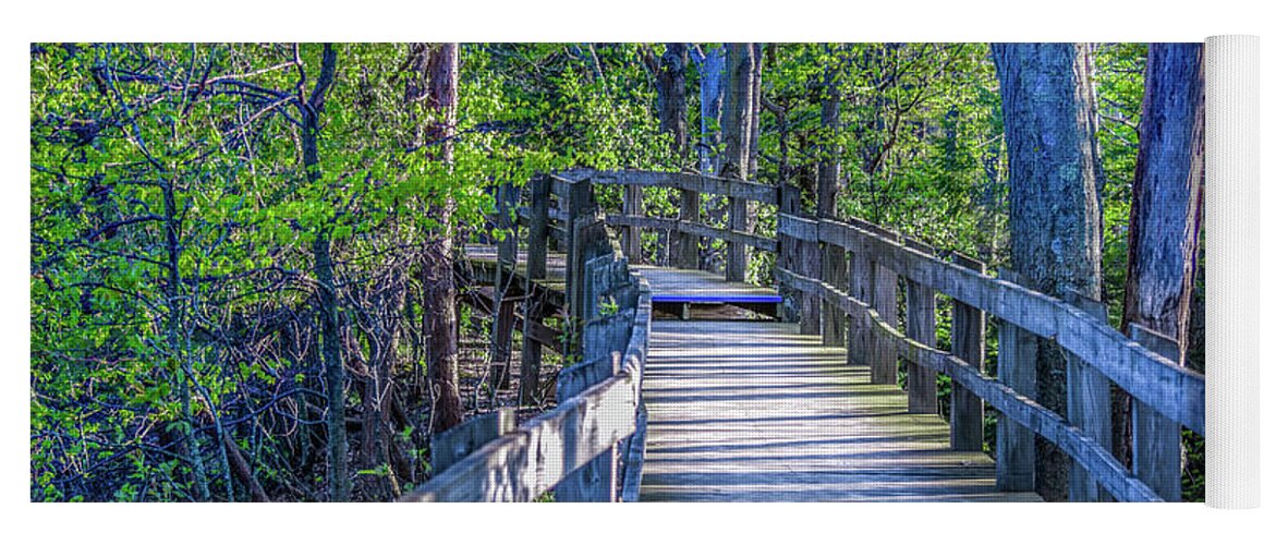 Landscape Yoga Mat featuring the photograph Boardwalk Going Into the Woods by Lester Plank