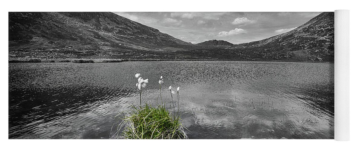 Bog Yoga Mat featuring the photograph Bog Cotton on Blue Lough by Nigel R Bell