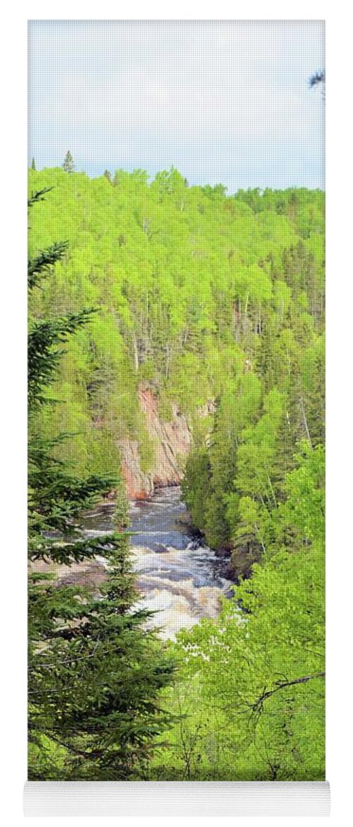 Forest Yoga Mat featuring the photograph Boreal Forest Portrait by Bonfire Photography