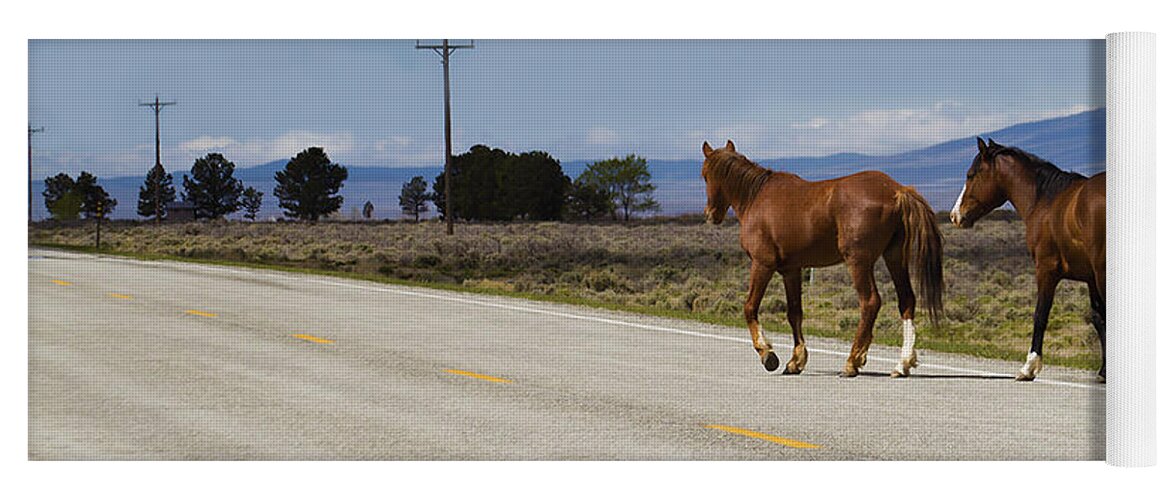 Horse Yoga Mat featuring the photograph Born to be Wild by Terry Fiala