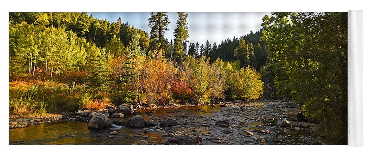 Boulder Yoga Mat featuring the photograph Boulder Colorado Canyon Creek Fall Foliage by Toby McGuire
