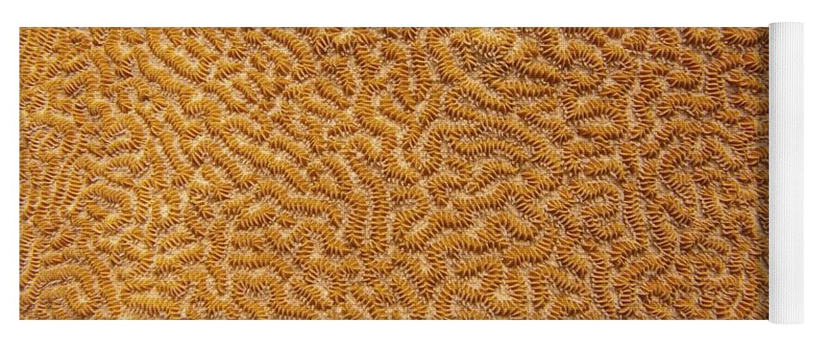Texture Yoga Mat featuring the photograph Brain Coral 47 by Michael Fryd