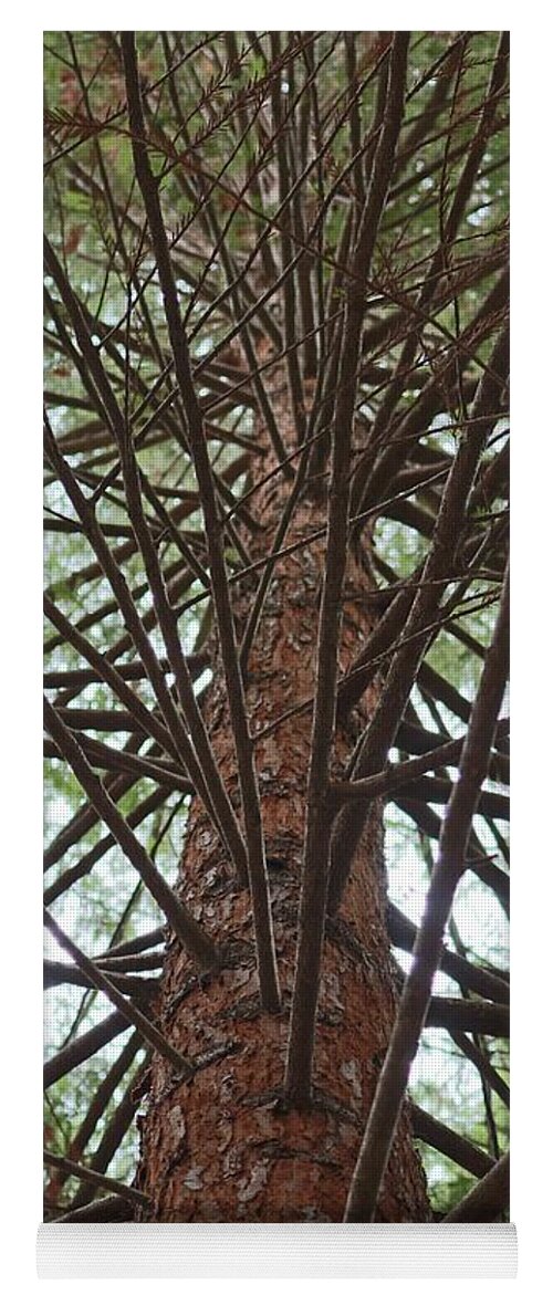 Branches Yoga Mat featuring the photograph Branches by Christy Pooschke