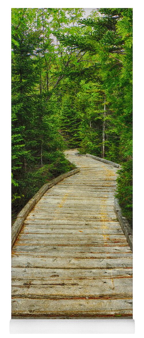 Chimney Pond Hiking Trail Yoga Mat featuring the photograph Bridge to Chimney Pond by Elizabeth Dow
