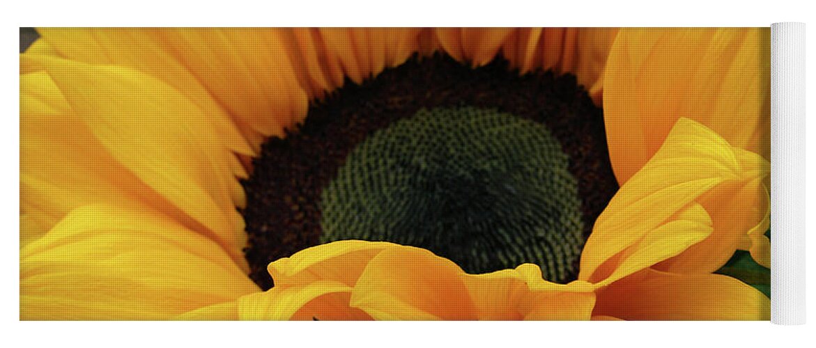 Sunflower Yoga Mat featuring the photograph Bright Sun 5 by Kim Tran