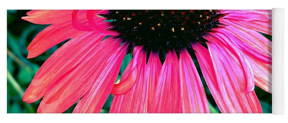 Flower Yoga Mat featuring the photograph Brilliant Coneflower by Onedayoneimage Photography