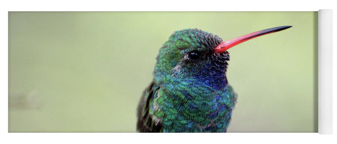 Denise Bruchman Yoga Mat featuring the photograph Broad-billed Hummingbird Portrait by Denise Bruchman