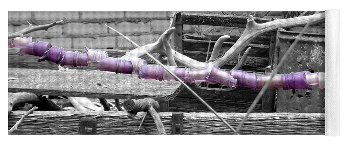 California Yoga Mat featuring the photograph Broken Lavender Bottle Garland on Black and White by Colleen Cornelius