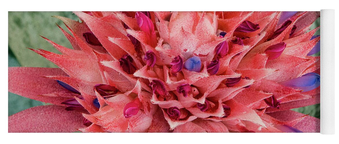 Jean Noren Yoga Mat featuring the photograph Bromeliad by Jean Noren