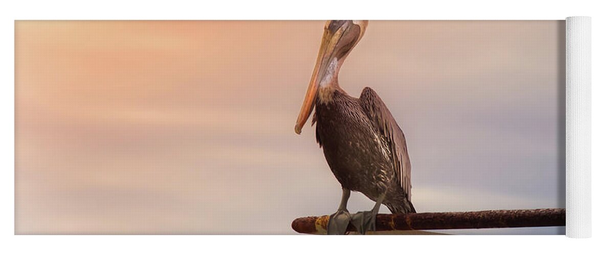 Animal Yoga Mat featuring the photograph Brown Pelican Sunset by Robert Frederick