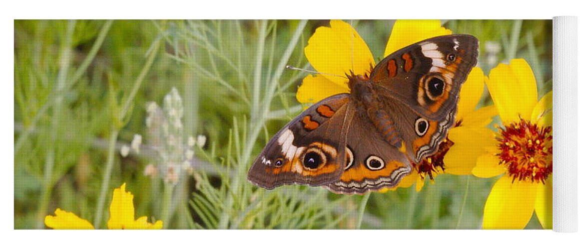 Buckeye Yoga Mat featuring the photograph Buckeye Butterfly by James Smullins