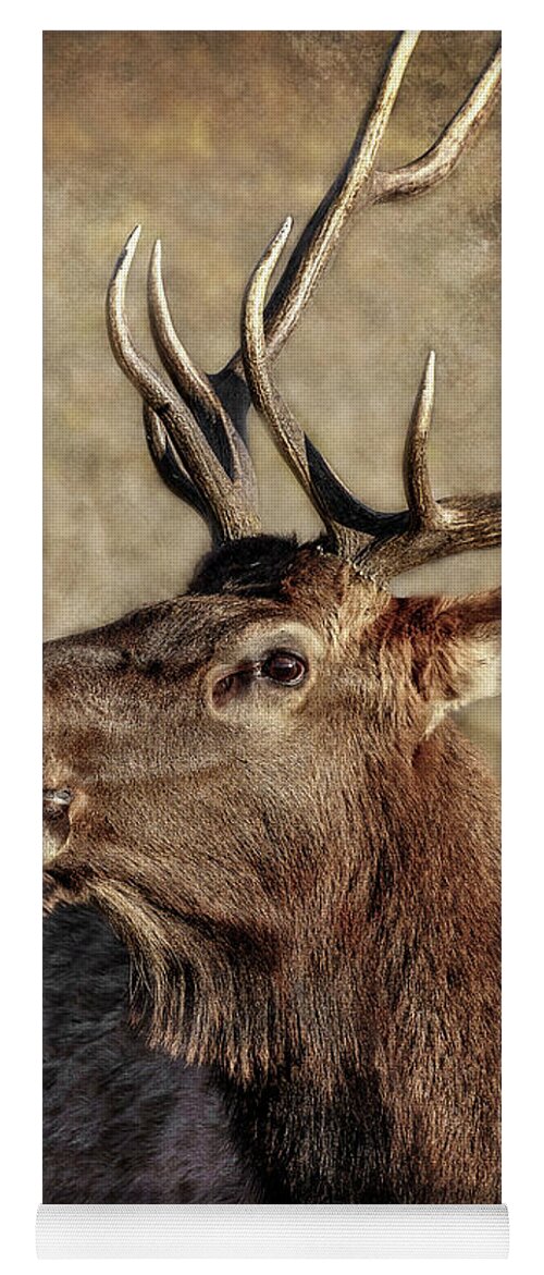 Bugling Elk Yoga Mat featuring the photograph Bugling Elk by Wes and Dotty Weber