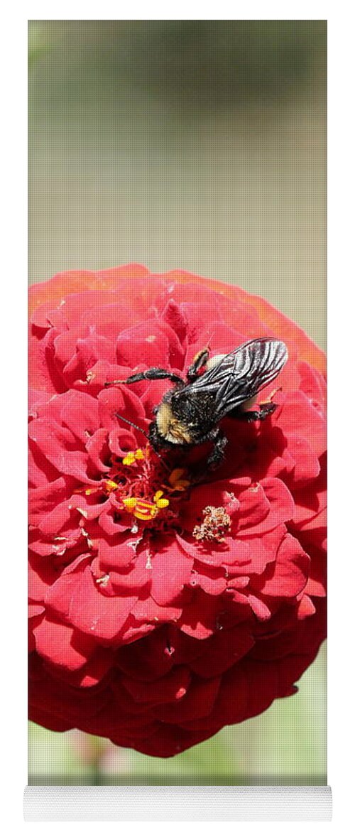 Bumble Bee Yoga Mat featuring the photograph Bumble Bee on Zinnia by John Moyer