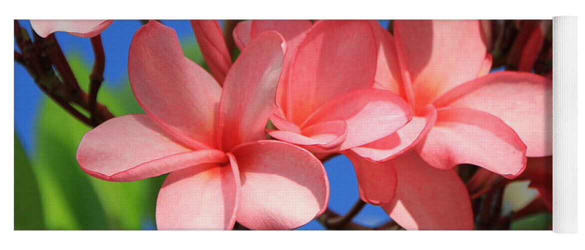 Pink Plumerias Yoga Mat featuring the photograph Bunches of Pink Plumerias by Edward R Wisell