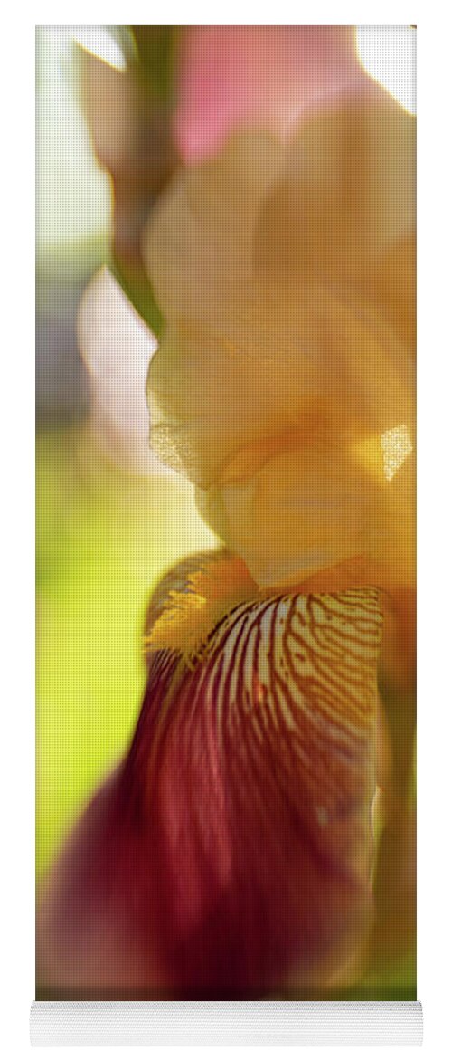 Iris Yoga Mat featuring the photograph Burgundy dreams by Pamela Taylor