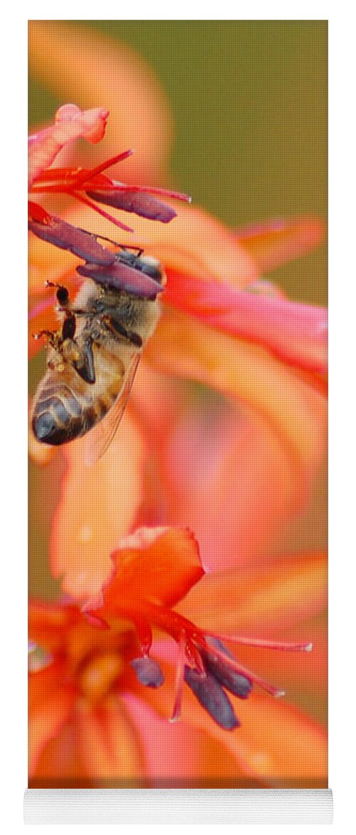 Bee Yoga Mat featuring the photograph Busy Bee by Amy Fose