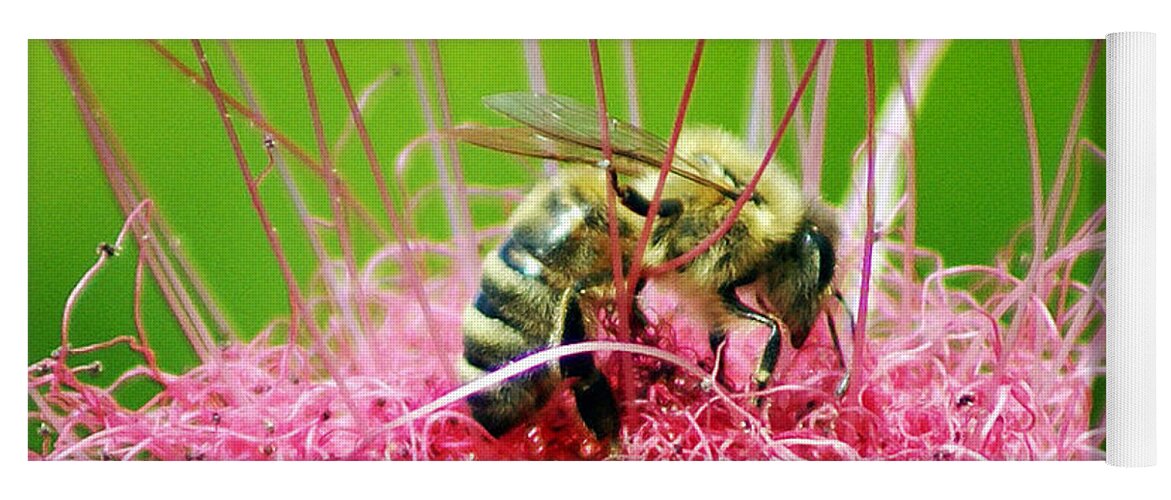 Nature Yoga Mat featuring the photograph Busy Bee by Holly Kempe