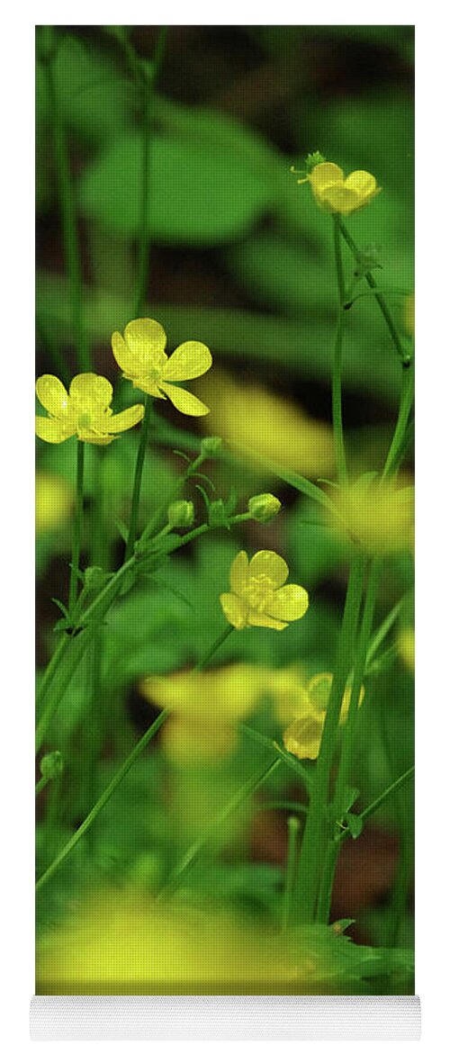 Anther Yoga Mat featuring the photograph Buttercup Grouping- vertical- Butler Creek Trail by Rick Bures