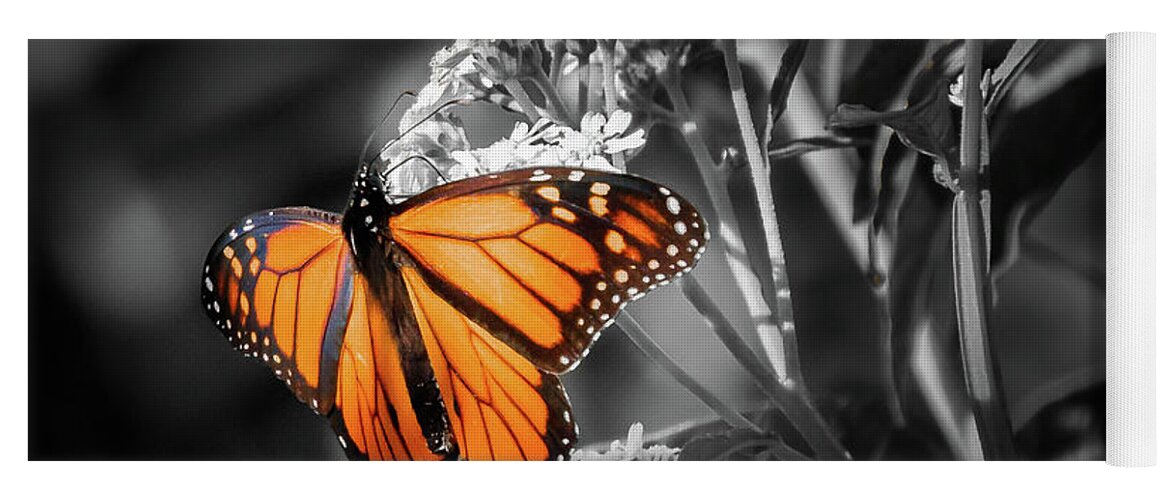 Butterfly Yoga Mat featuring the photograph Butterfly BW by Les Greenwood