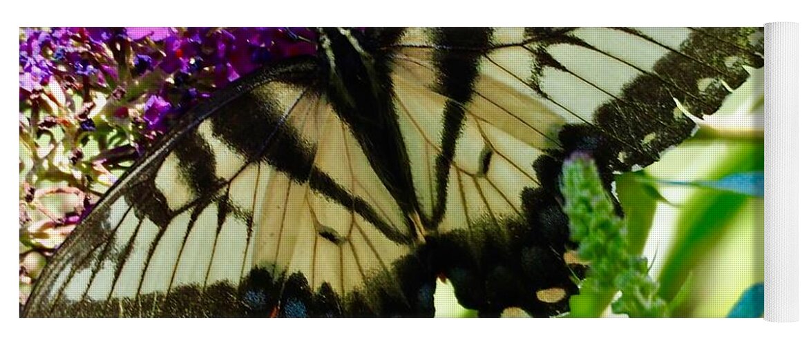 Butterfly Yoga Mat featuring the photograph Butterfly Damage by Shawn M Greener