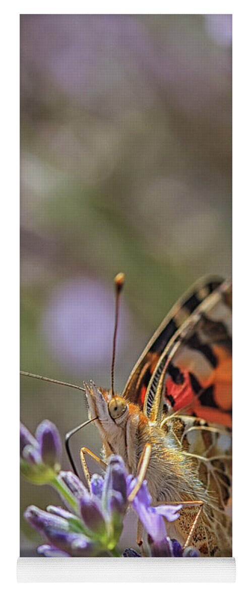 Flower Yoga Mat featuring the photograph Butterfly in close up by Patricia Hofmeester