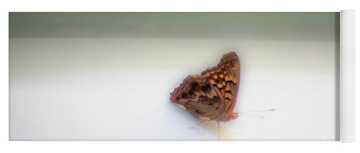 Butterfly Yoga Mat featuring the photograph Butterfly on my car by Merle Grenz