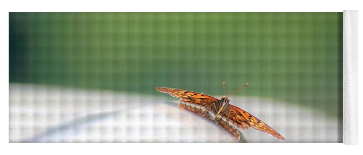 Butterflies Yoga Mat featuring the photograph Butterfly on my car3 by Merle Grenz