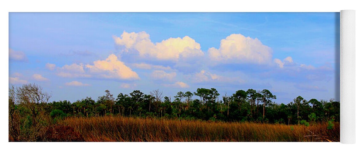 Cabbage Palms Yoga Mat featuring the photograph Cabbage Palms and Salt Marsh Grasses of the Waccasassa Preserve by Barbara Bowen