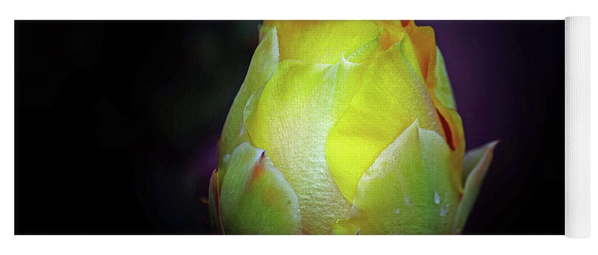 Succulent Yoga Mat featuring the photograph Cactus Flower 7 by Roberta Byram