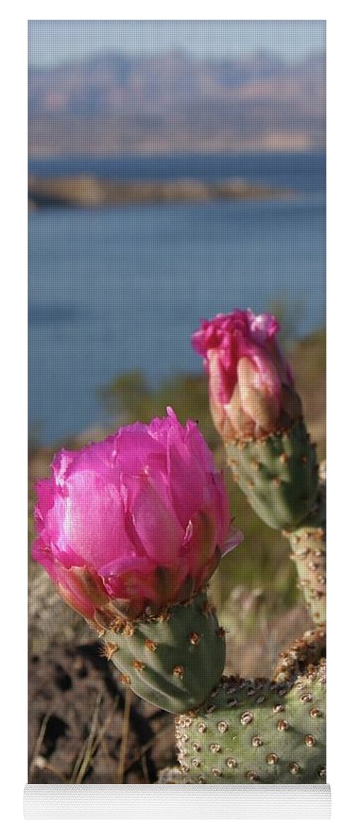 Cactus Yoga Mat featuring the photograph Cactus Flower by Jeff Floyd CA