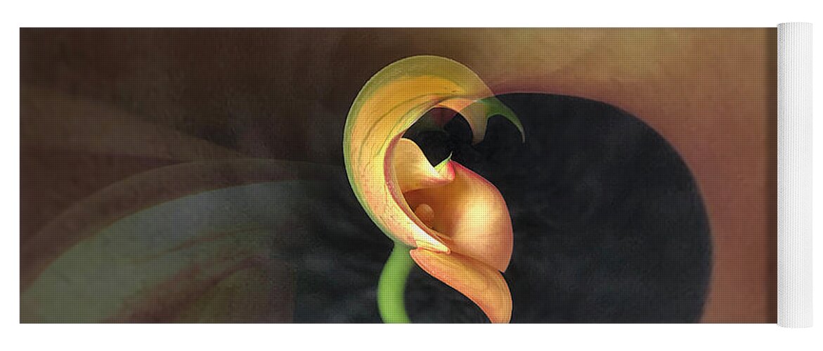 Flower Yoga Mat featuring the photograph Calla lily study 2 by Usha Peddamatham