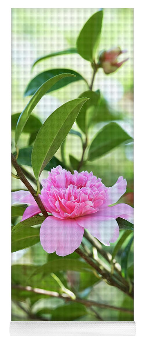 Camellia X Williamsii Ballet Queen Yoga Mat featuring the photograph Camellia Ballet Queen by Tim Gainey