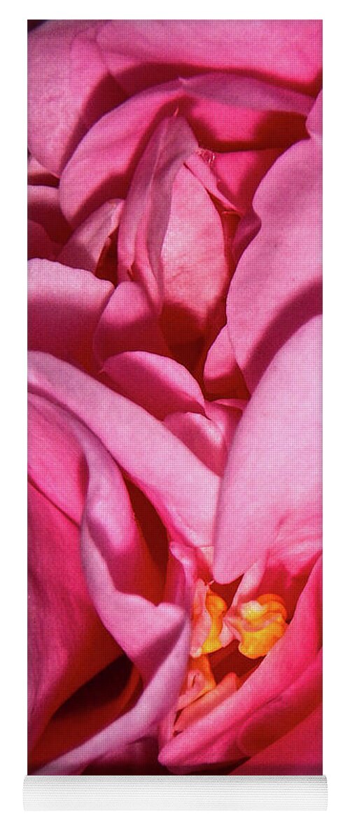 Camellia Yoga Mat featuring the photograph Camellia Close by Judy Hall-Folde