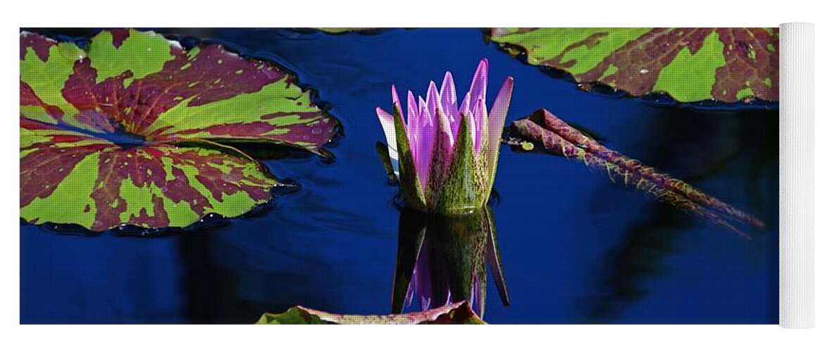 Water Lily Yoga Mat featuring the photograph Can You Sit for Awhile by Michiale Schneider