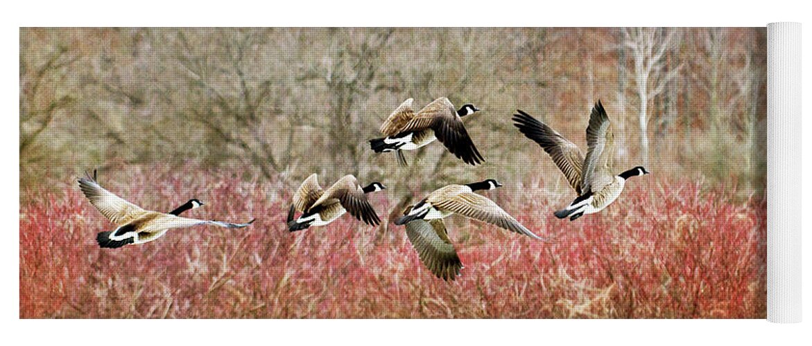 Canada Geese Yoga Mat featuring the photograph Canada Geese In Flight by Christina Rollo