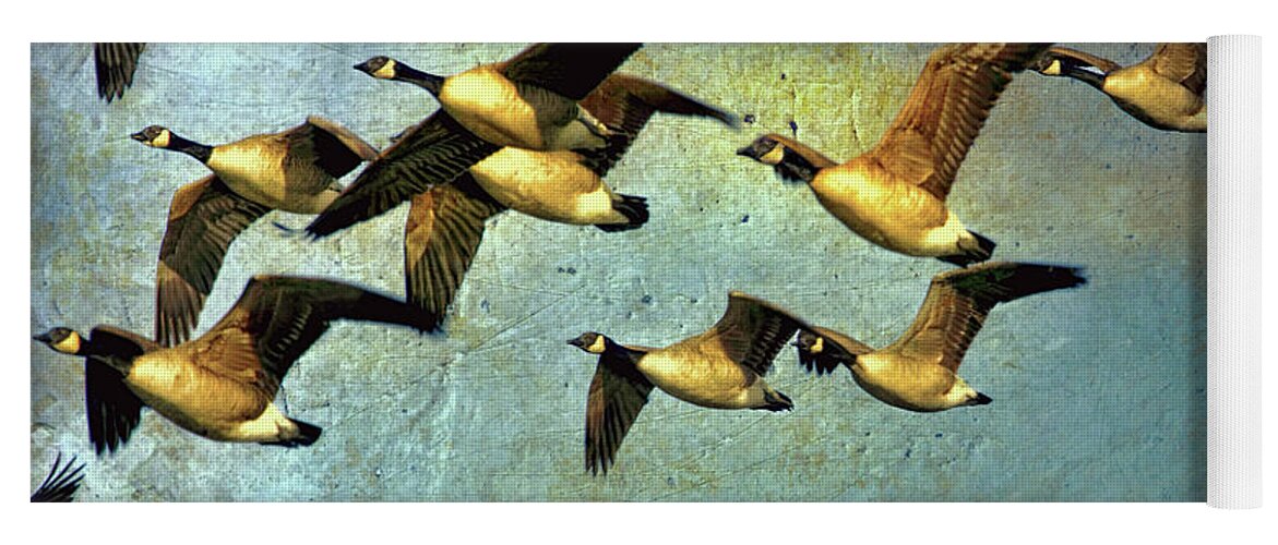Canada Geese Yoga Mat featuring the painting Canada Geese in Flight by Peggy Collins